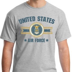 Фото футболки ВВС США United States Air Force With Seal Faded Tee, цвет светло-серый